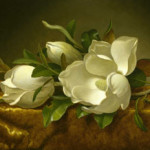 Magnolias on Gold Velvet Clothc. 1888-1890, Martin Johnson Heade