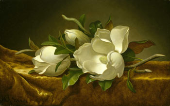 Magnolias on Gold Velvet Clothc. 1888-1890, Martin Johnson Heade